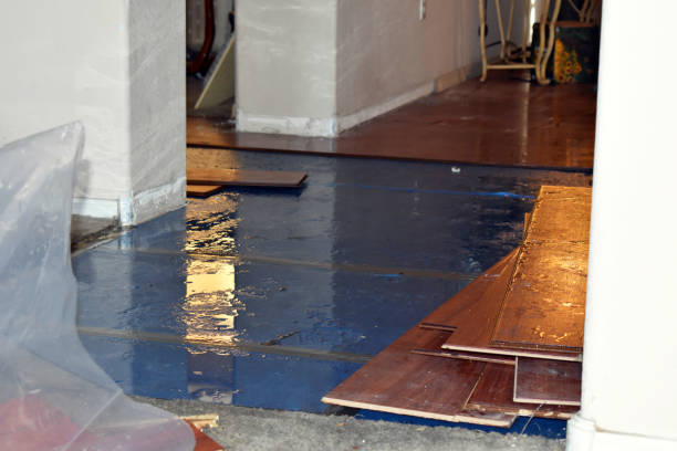 Professional Flood Damage Repair technician working in Lyles, TN